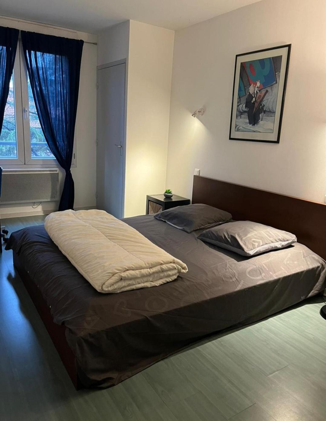 115 Rue Vauban Apartamento Lyon Exterior foto